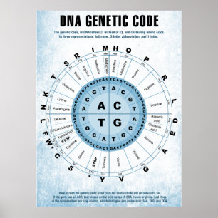 DNA Genetische Codetabelle Poster