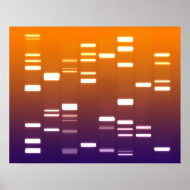 DNA Genetischer Code Orange Blue Poster (Vorne)