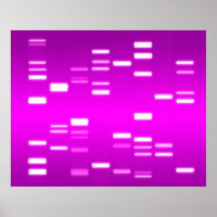 DNA Genetischer Code Rosa Magenta