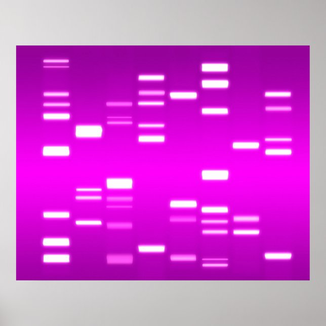 DNA Genetischer Code Rosa Magenta Poster (Vorne)