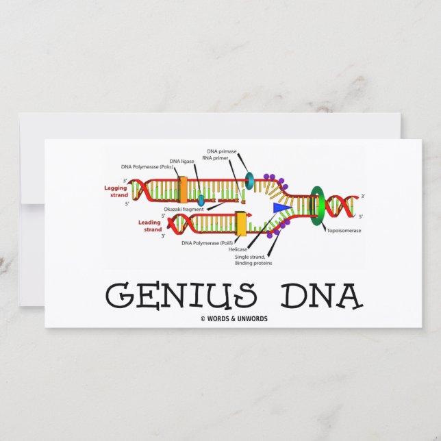 DNA-Genie (DNA-Replikation Spaß) (Vorderseite)