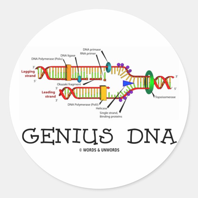 DNA-Genie (DNA-Replikation Spaß) Runder Aufkleber (Vorderseite)