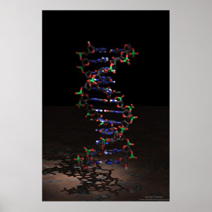 DNA im Spotlight Poster