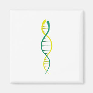DNA MAGNET
