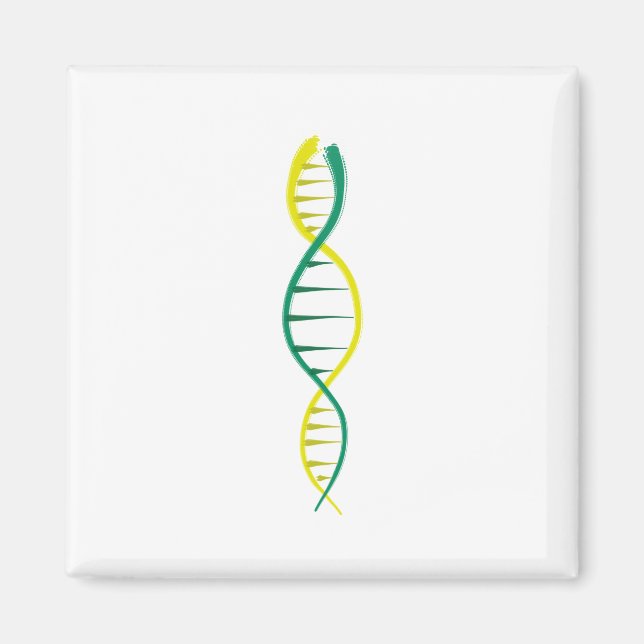 DNA MAGNET (Vorne)