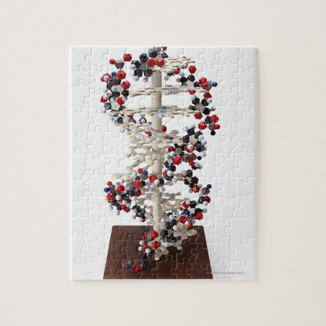 DNA-Modell Puzzle (Vertikal)