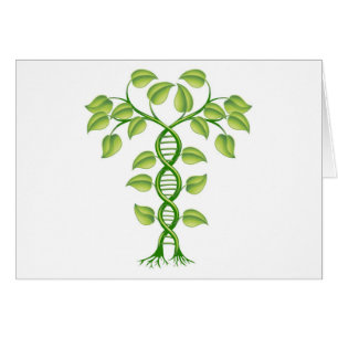 DNA-Pflanzenkonzept