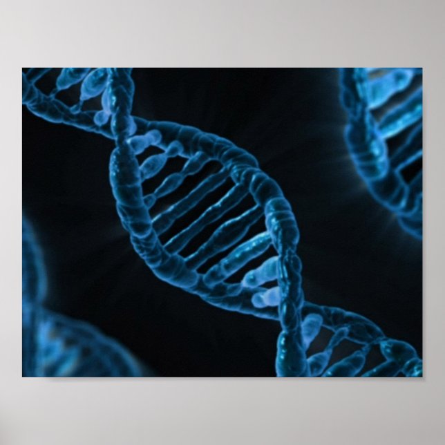 DNA POSTER (Vorne)