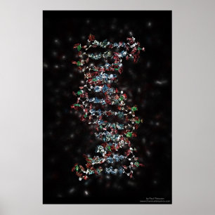 DNA POSTER