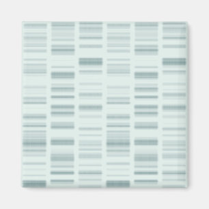 DNA-Profile: Genetische Anleitungen zur Schaffung  Magnet