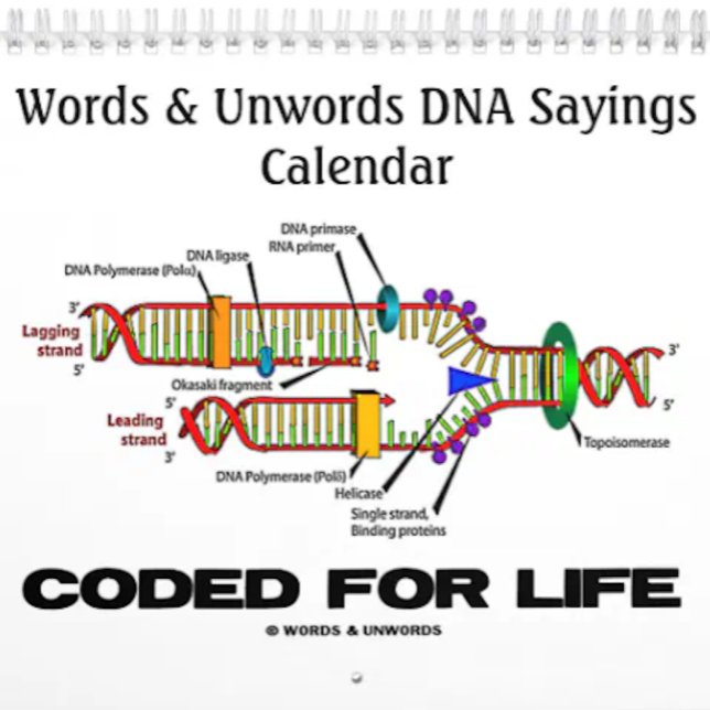 DNA-Redewendungen für Wörter und Wörter 2016 Kalen Kalender (Calendar featuring funny DNA/genetics sayings for anyone into wry molecular biology attitude!)
