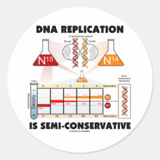 DNA-Replikation ist semikonservativ Runder Aufkleber
