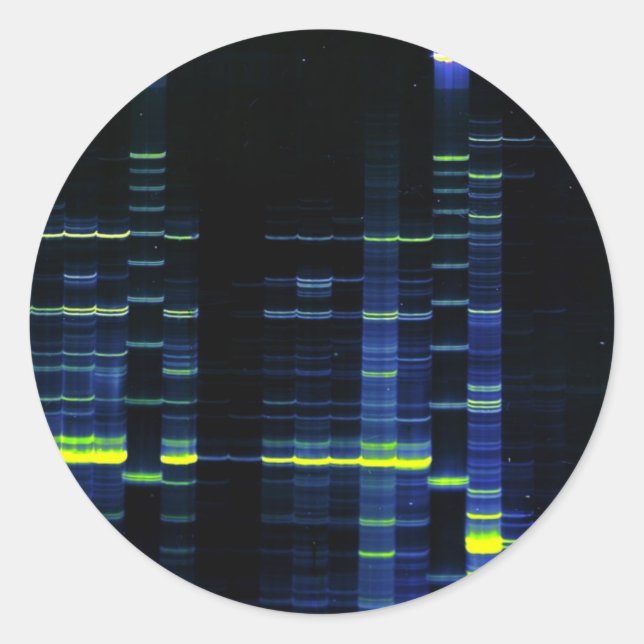 DNA-Sequenzgel 1 Runder Aufkleber (Vorderseite)