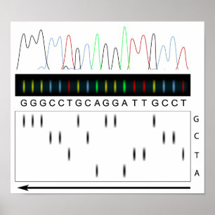 DNA-Sequenzierungspapier Poster