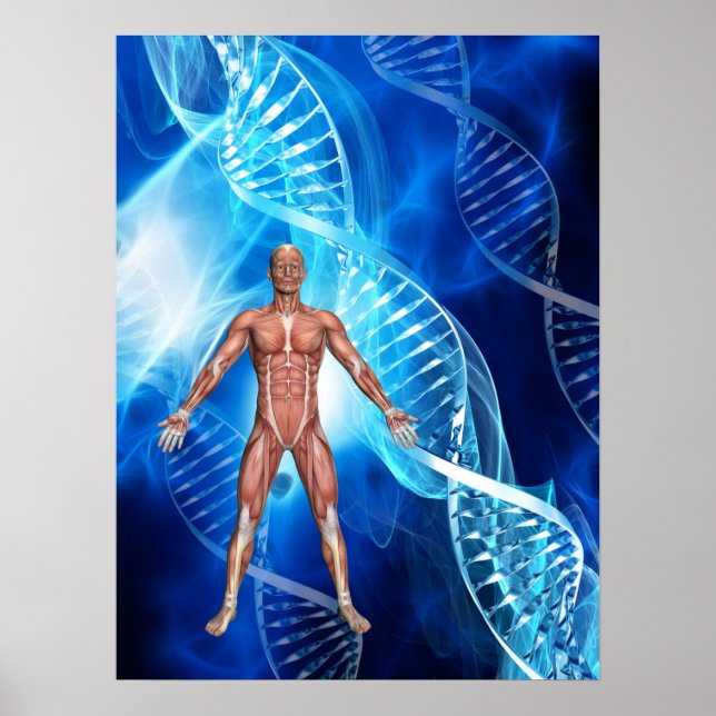 DNA-Strand Poster (Vorne)