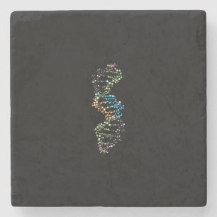 DNA-Strand Steinuntersetzer