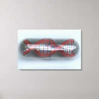 DNA-Strang in einer Kapsel