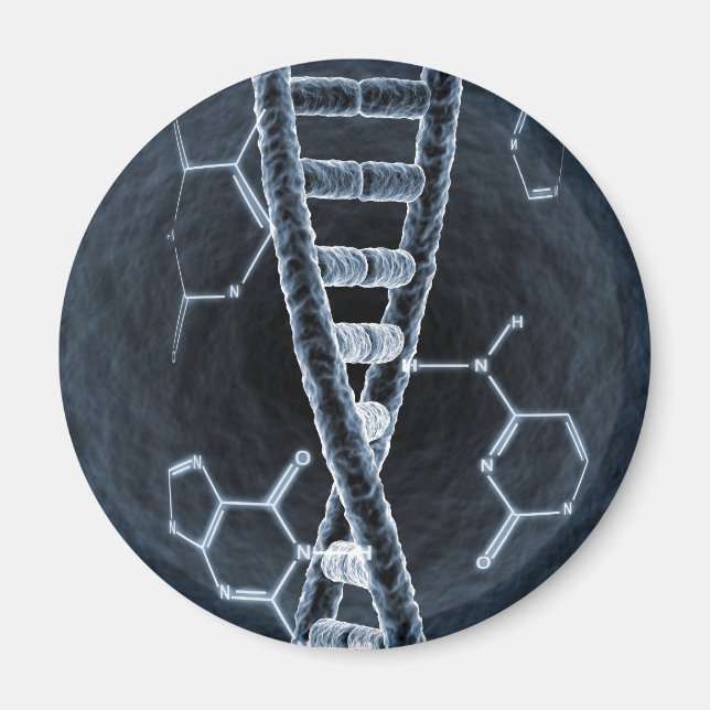 DNA-Strang Magnet (Vorne)