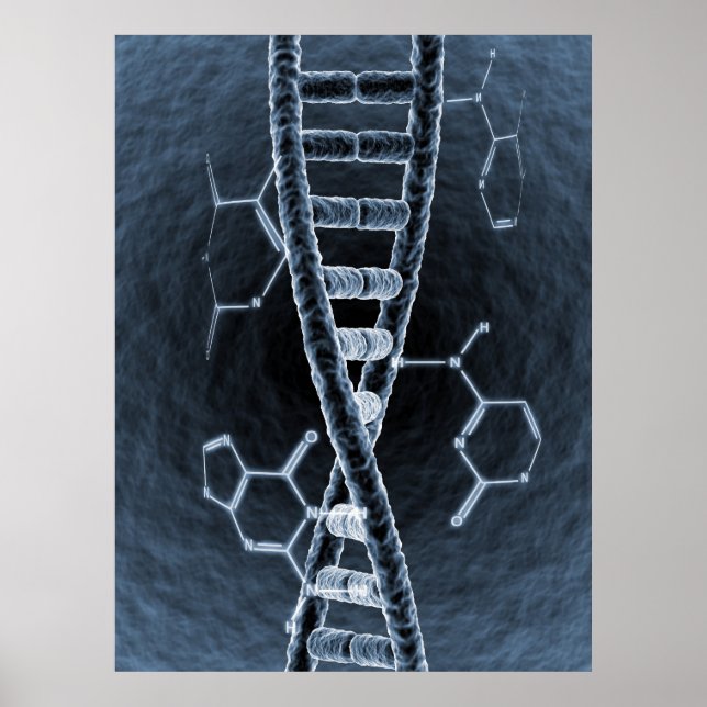 DNA-Strang Poster (Vorne)