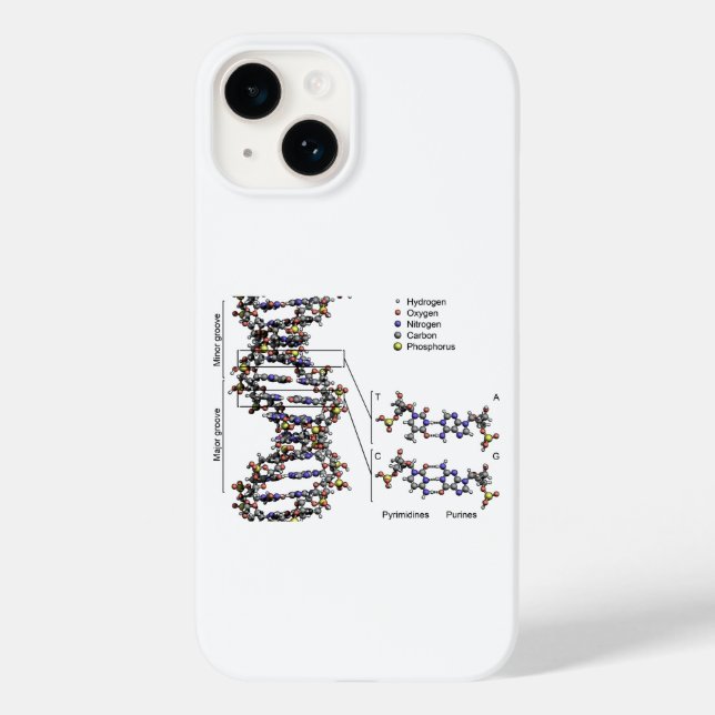 DNA-Struktur Deoxyribonukleinsäure Basendiagramm Case-Mate iPhone Hülle (Rückseite)