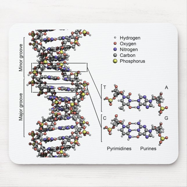 DNA-Struktur Deoxyribonukleinsäure Basendiagramm Mousepad (Vorne)