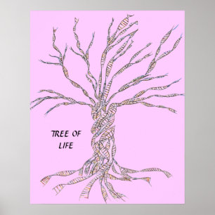 DNA-TREE oder Baum des Lebens POSTER PINK