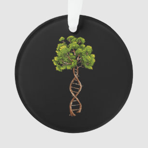 Dna Tree Of Life Science Genetics Biology Environm Ornament