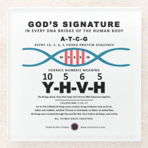 DNA-YHVH-Code Glasuntersetzer