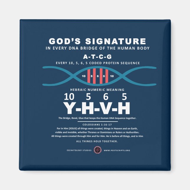 DNA-YHVH-Code Magnet (Vorne)