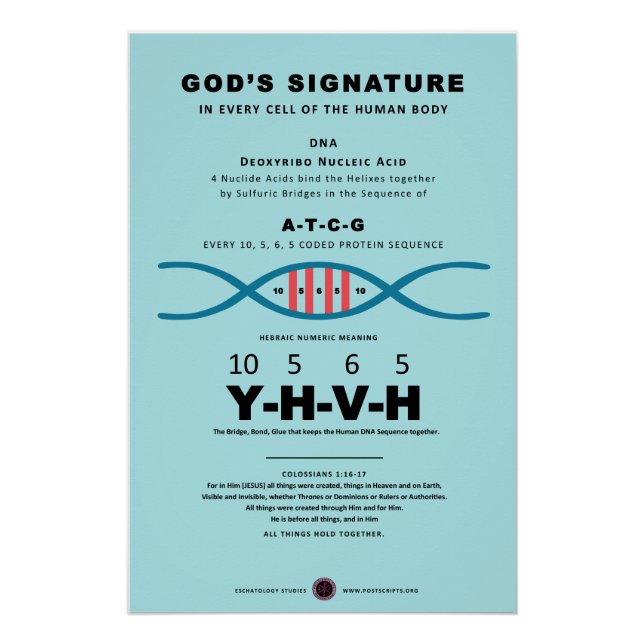 DNA-YHVH-Code Poster (Vorderseite)