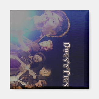 D'n'P-Magnete Magnet