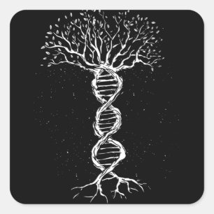 DNS-Baum Quadratischer Aufkleber