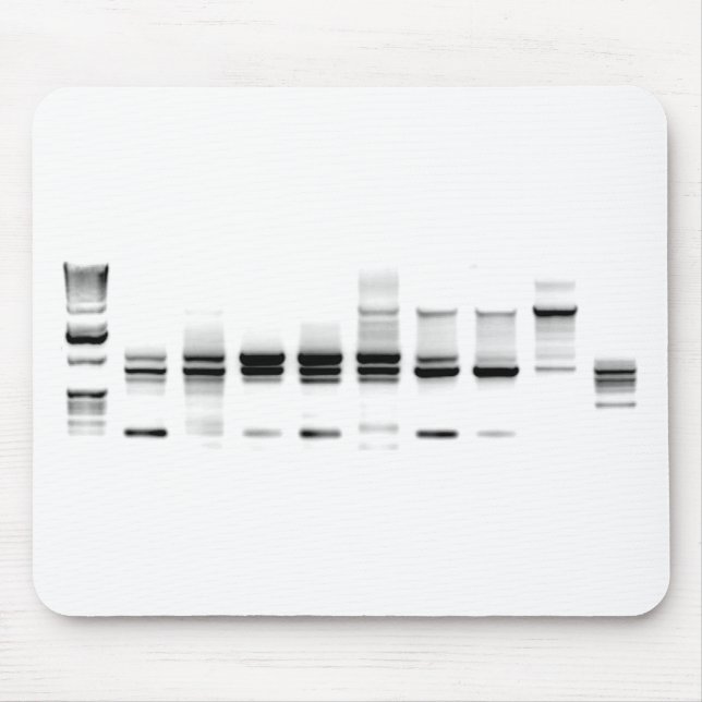 DNS-Gel Mousepad (Vorne)