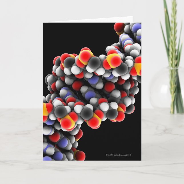 DNS-Molekül. Molekulares Modell von DNS Karte (Vorderseite)