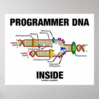 DNS-Programmier-Inside (DNA-Replikation) Poster