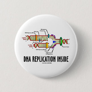 DNS-Reproduktions-Innere (DNS-Haltung) Button