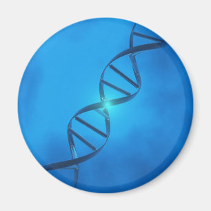 DNS-Strang Magnet