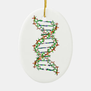 DNS - Wissenschaft/Wissenschaftler/Biologie Keramik Ornament