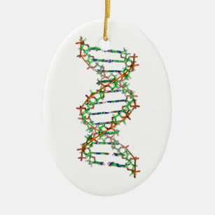 DNS - Wissenschaft/Wissenschaftler/Biologie Keramik Ornament