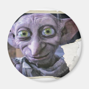 Dobby 1 magnet
