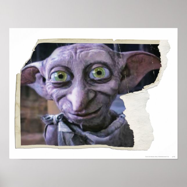 Dobby 1 poster (Vorne)