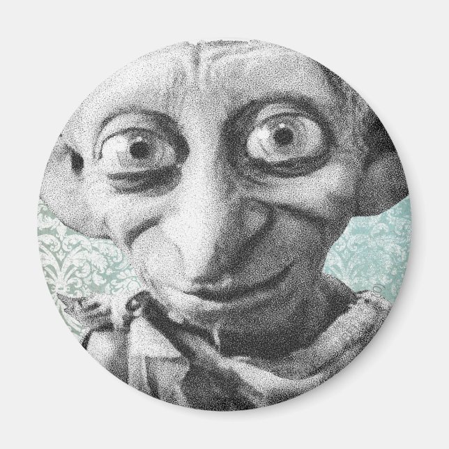 Dobby 4 magnet (Vorne)