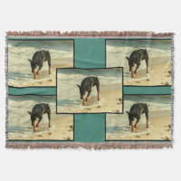 Doberman auf der Strandmalerei