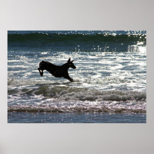 Doberman - Black - Ocean Leap Poster