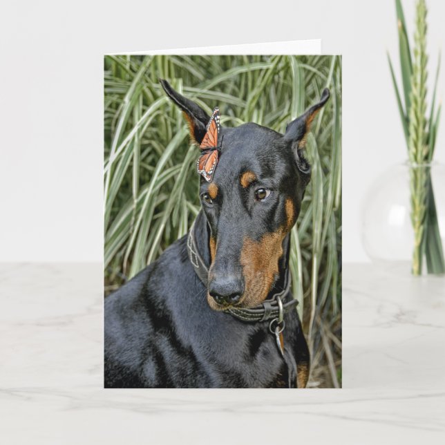 Doberman Butterfly Überraschung Karte (Vorderseite)