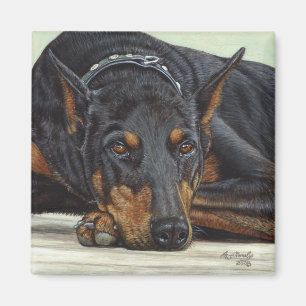 Doberman Dog Magnet