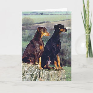 Doberman Dog Portrait Blank Greeting Card Karte