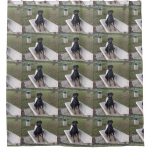 Doberman Flipper Duschvorhang