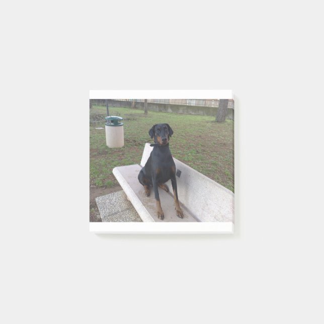 Doberman Flipper Post-it Klebezettel (Vorderseite)