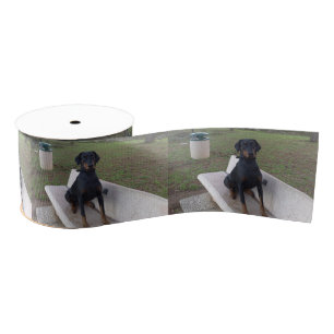 Doberman Flipper Ripsband
